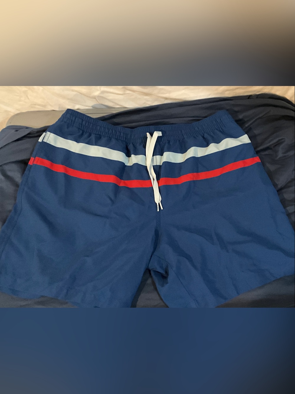chubbies Navy Swim Trunks with Red & Light Blue Stripes